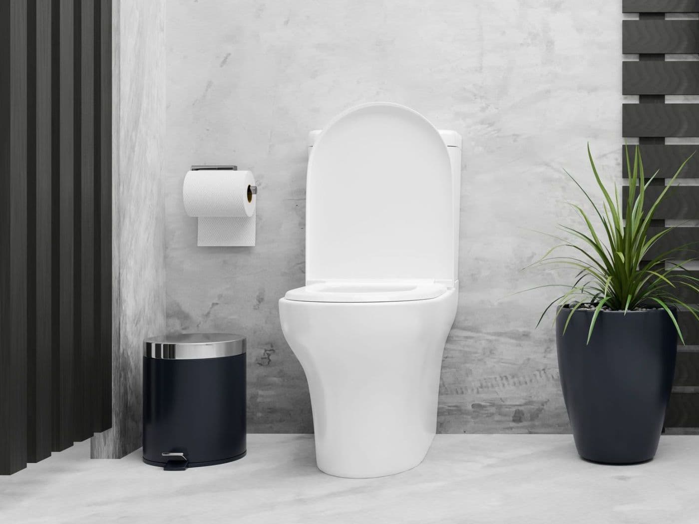 Toilette austauschen